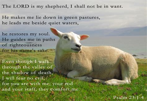 Psalm 23 | Lord is My Shepherd • Clattr