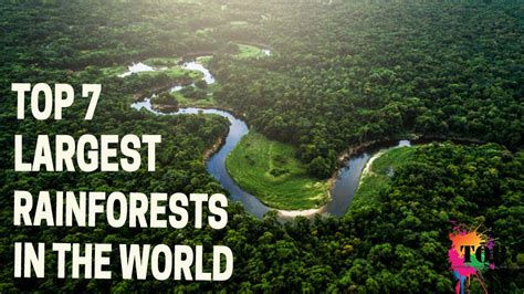 Top 7 Largest Rainforests In The World Youtube