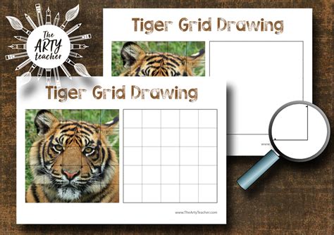 Tiger Grid Drawing The Arty Teacher
