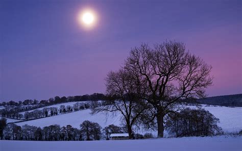 Moonlight Landscape Wallpapers Top Free Moonlight Landscape