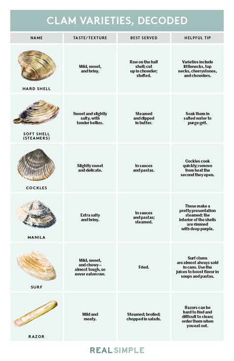 Types Of Clams Clam Recipes Clams Culinary Lessons