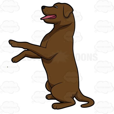 Yellow Lab Silhouette At Getdrawings Free Download