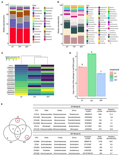Frontiers Changes In Bacterial Community Structure And Enriched