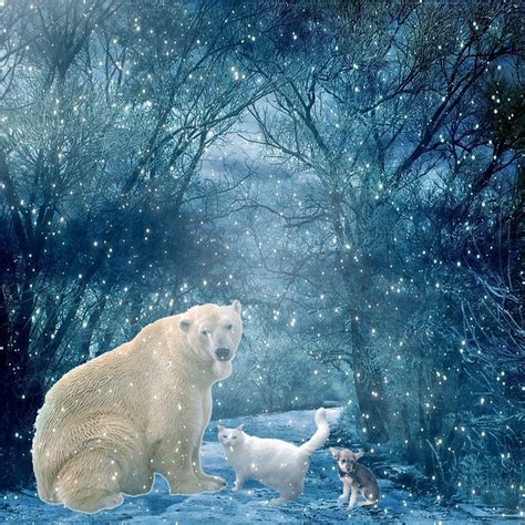Three Animals In Snowy Winter Scene Flickr Photo Sharing