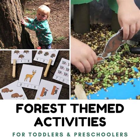 Forest Themed Activities For Toddlers And Preschoolers