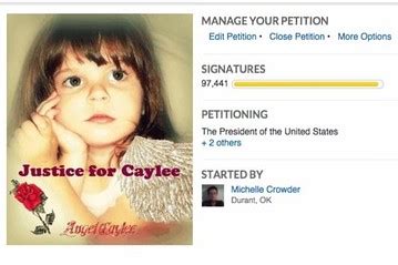 Proposed Caylees Law Generates Virtual Frenzy Law Blog WSJ