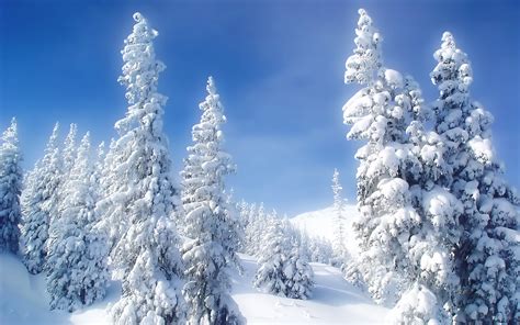 Winter Mountain Scenes Wallpaper Wallpapersafari