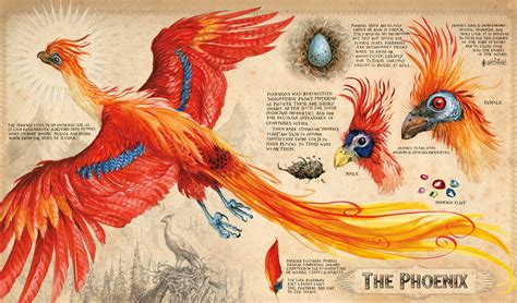 Phoenix Artwork From Harry Potter And The Chamber Of Secrets Jim Kay