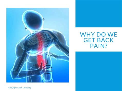 Week 2 Why Do We Get Back Pain Cranfold Physio