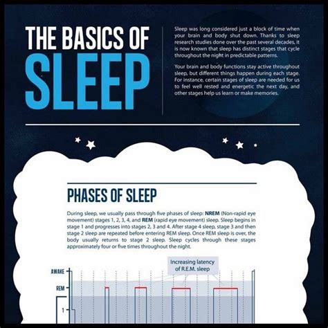 Basics Of Sleep Infographic Infografía Infografica Infografik