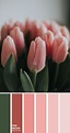 Color Inspiration : Green and Pink – Color Palette #33 1 - Fab Mood ...