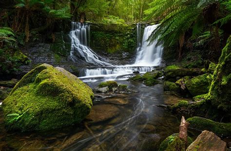 Hd Wallpaper Waterfalls Fern Moss Nature Rock Stream Wallpaper