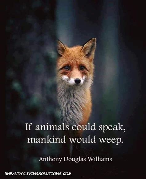 Pin By Rod Stone On Nature Animals Beautiful Animal Quotes Animals