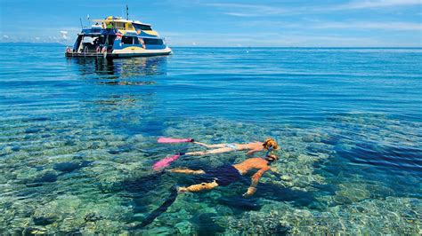 Great Barrier Reef In Cairns Queensland Expedia