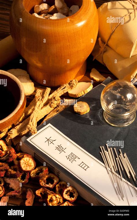 Traditional Chinese Herbal Medicine Therapy With Ancient Chinese