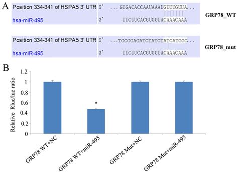 mir‑495 enhances the efficacy of radiotherapy by targeting grp78 to regulate emt in