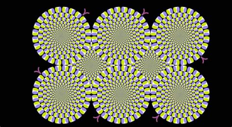 Optical Illusions That Move