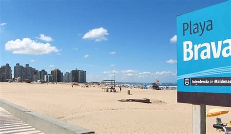 Las Mejores Playas De Punta Del Este ¡son Como El Paraíso【2023