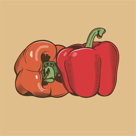 Premium Vector Bell Peppers In Vintage Style Colored Vector Illustration
