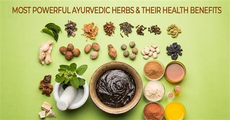 12 Powerful Ayurvedic Herbs And Their Amazing Health Benefits