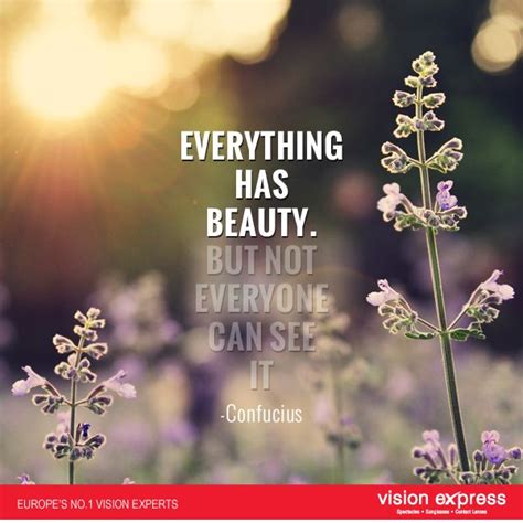 Hidden Beauty Quotes Quotesgram