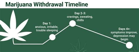 Weed withdrawal day 2 reddit. Marijuana Withdrawal: What Happens When You Stop Smoking Weed - VaporBongProject