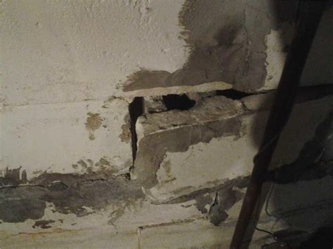 Soon the taproot is surpassed by an extensive root system spreading horizontally. Quality 1st Basement Systems - Basement Waterproofing ...
