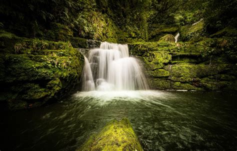 Wallpaper Forest River Stones Waterfall Moss New Zealand Cascade