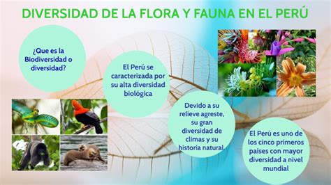 diversidad de flora y fauna en el perÚ by lourdes falla vásquez on prezi