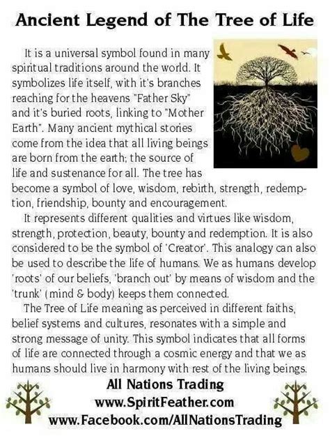 Tree of life | Tree of life meaning, Tree of life, Celtic tree of life