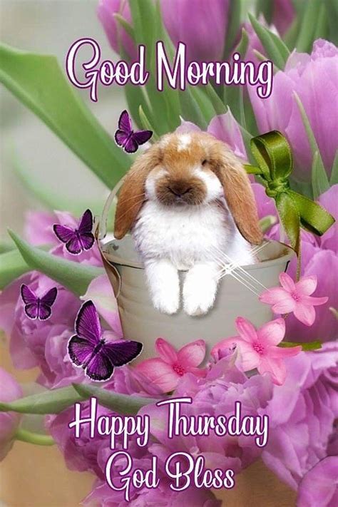 Good Morning Thursday Images Happy Thursday Images Thursday Pictures