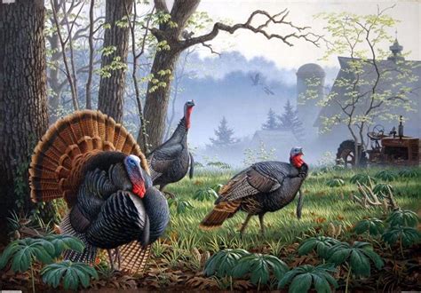 Turkey Hunting Backgrounds