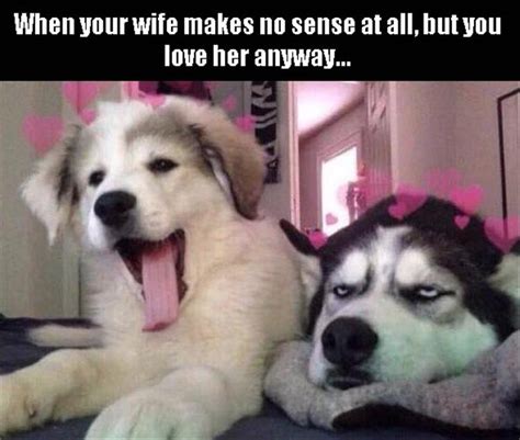 Funny Animal Pictures Of The Day 22 Pics Cute