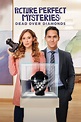 Picture Perfect Mysteries: Dead Over Diamonds (2020) — The Movie ...