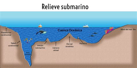 Relieve Submarino Unidad De Apoyo Para El Aprendizaje The Best