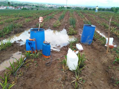 Pesquisadores da UFPB avaliam efeitos a longo prazo do consumo de água