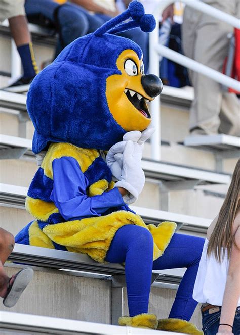10 Of The Coolest Mascots In High School Sports Photos