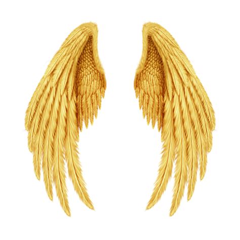 Golden Angel Wings Png Free Logo Image