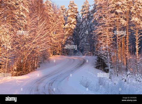 🔥 Free Download Snowy And Icy Road Winding Through Winter Forest
