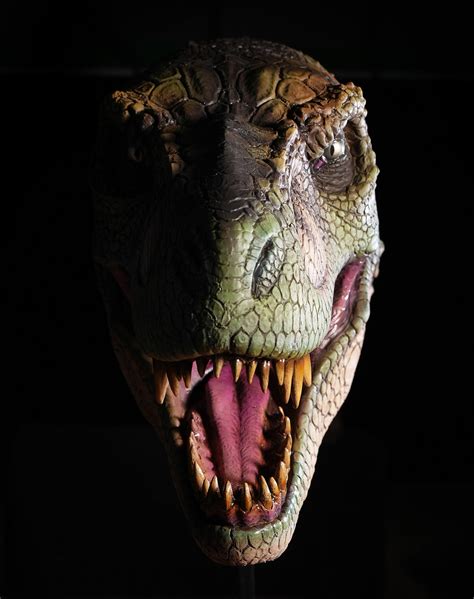 T Rex Head Wall Mount Realistic Detailed Dinosaur Prop Distortions