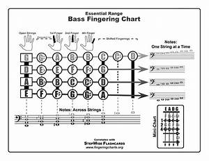 String Electric Bass Chart And Flashcards Stepwise