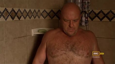 Hank Schrader I Want To Come On You Xhamster