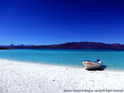 Get Back To Nature On Coronado Island With Wild Loreto Tours