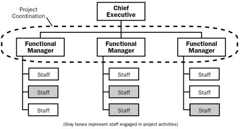 The 4 Types Of Project Organizational Structure