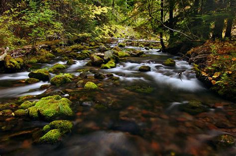 Tamanawas Falls Hike Hiking In Portland Oregon And Washington