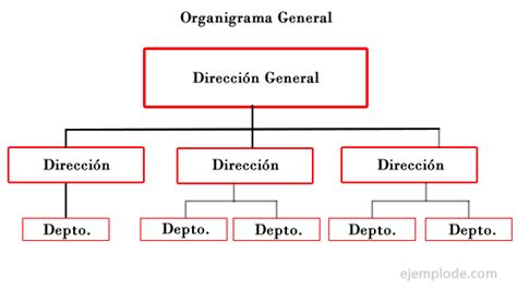 ¿cómo interpretar un organigrama y cómo hacerlo? Ejemplo de Organigrama