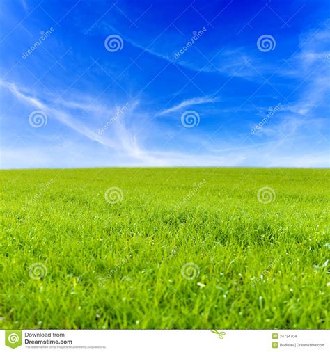 Grass Field And Blue Sky Stock Images Image 34724704