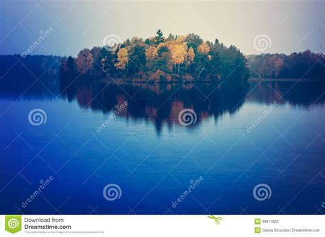 Trees Reflecting In A Lake Royalty Free Stock Photo