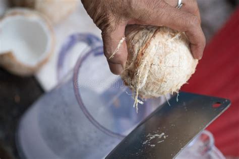 Man Cutting Coconut Stock Image Image Of Islands Exotic 134214213