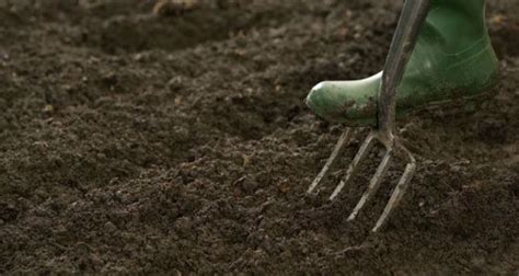 Soil Preparation For Gardens And Lawns